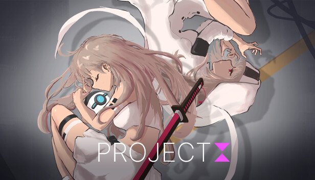 Project I